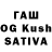 Псилоцибиновые грибы GOLDEN TEACHER Agung Susilo
