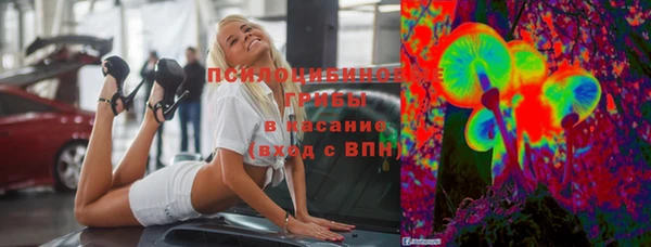 тгк Алексин