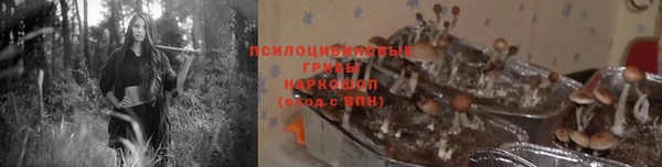 МДПВ Алзамай