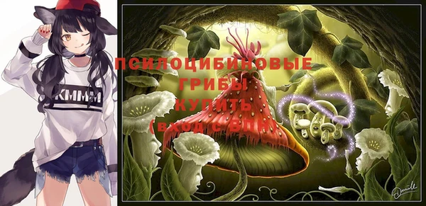 соль ск Всеволожск