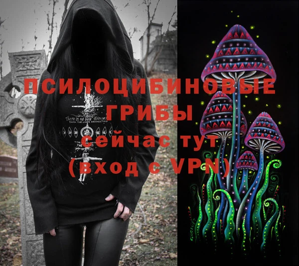 МДПВ Алзамай