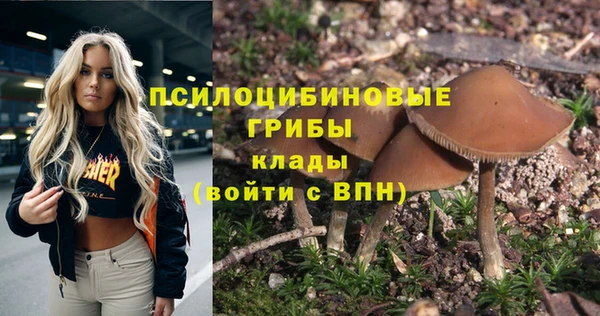 тгк Алексин