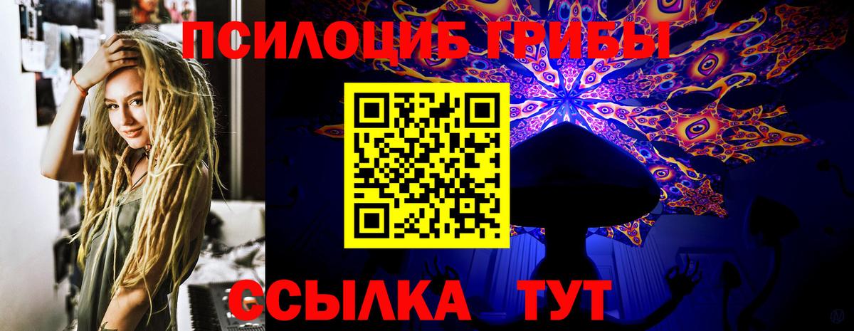 ГАШ Всеволожск