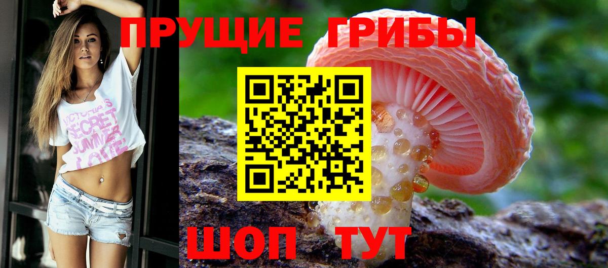 Галлюциногенные грибы мицелий  Псилоцибиновые грибы Psilocybine cubensis  Вход с VPN  Всеволожск 